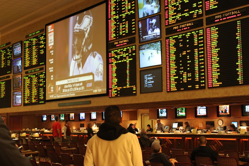Maximizing Your Sports Betting Performance with Data